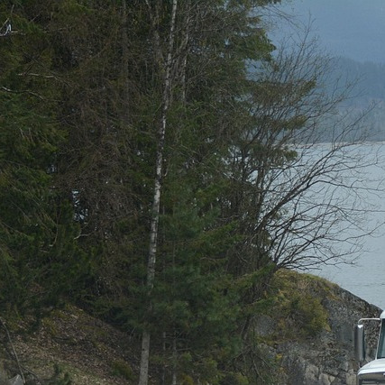 truck driver portrait